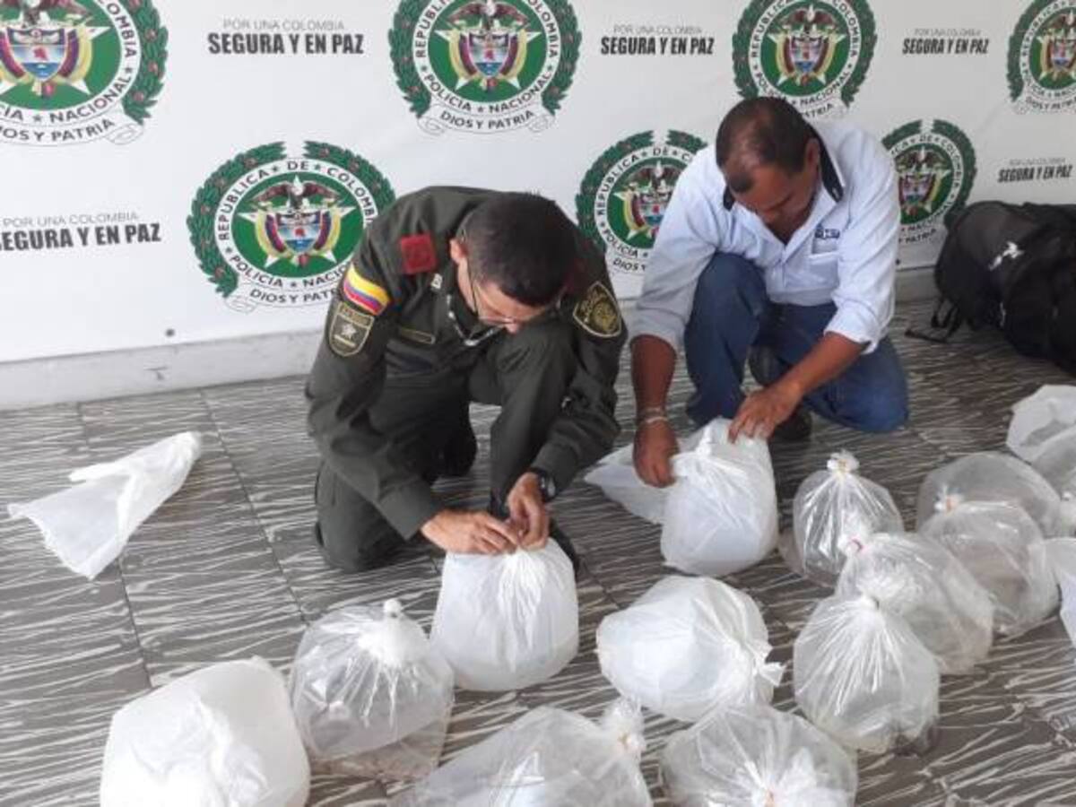 Decomisan 400 peces exóticos que se iban a comercializar en Quindío