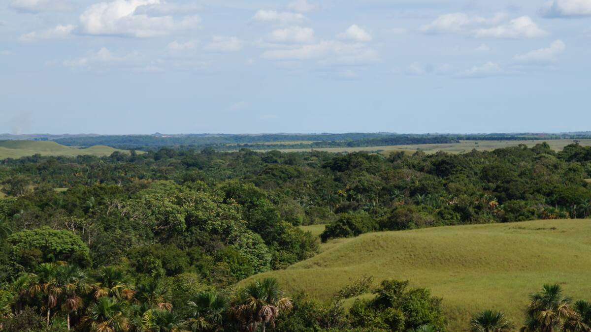 Las pruebas sobre el modus operandi de la compra de tierras en el Urabá