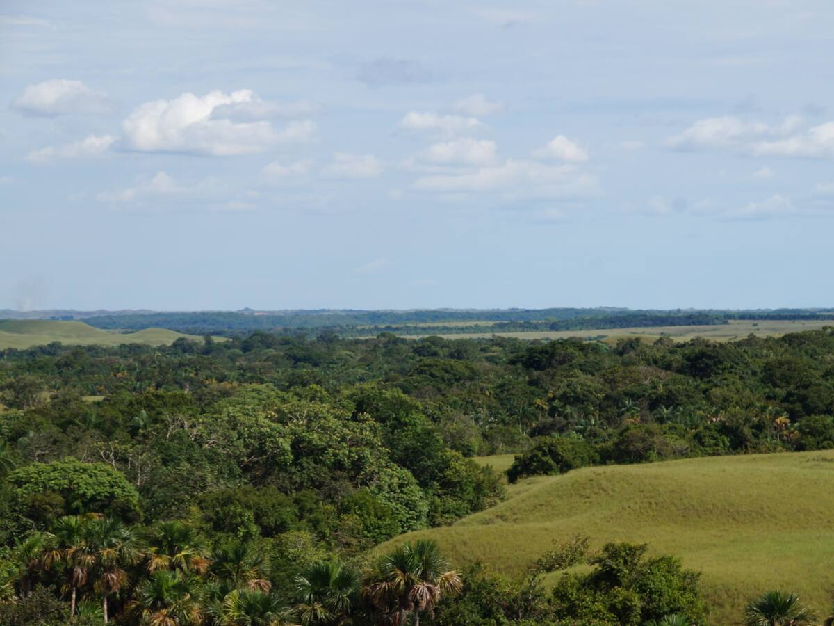 Las pruebas sobre el modus operandi de la compra de tierras en el Urabá