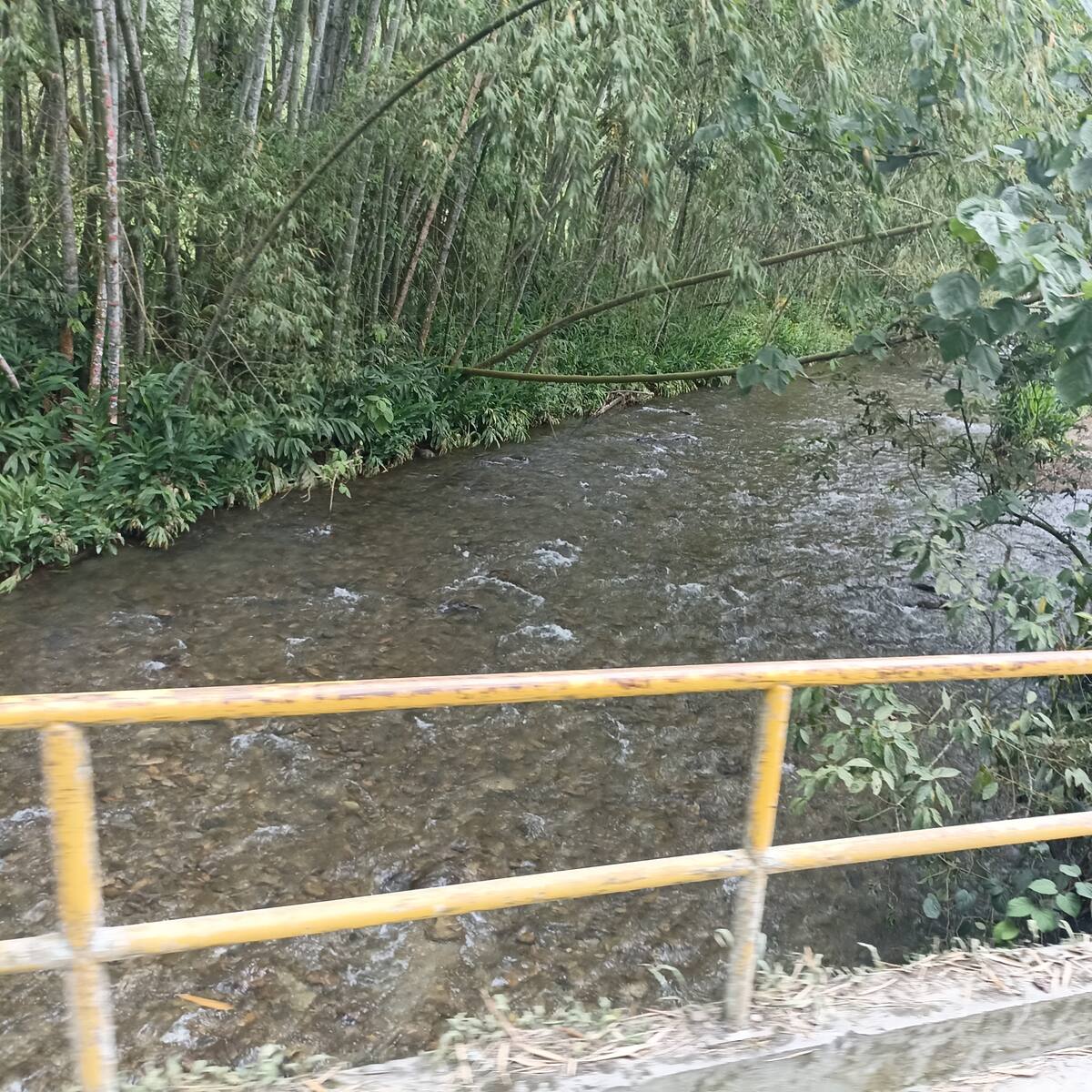 CRQ alerta por abastecimiento de agua debido a bajo caudal de ríos en el Quindío