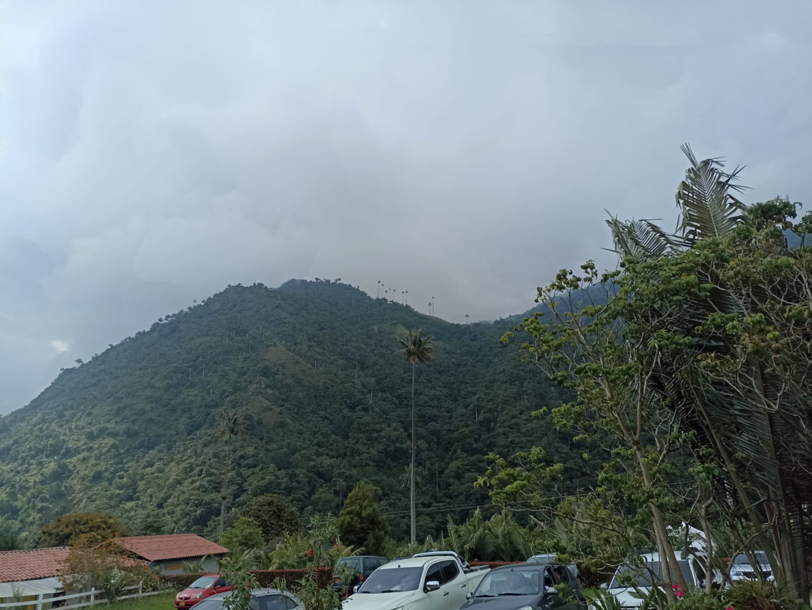 Días de cielo nublado que se mezclan con el verde de las montañas del Quindío