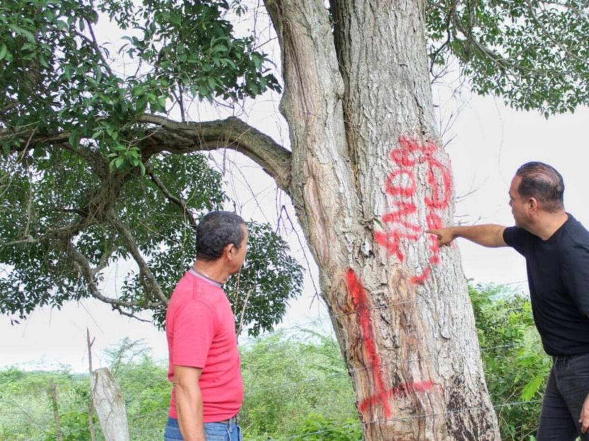 Ganaderos del Magdalena advierten sobre masiva invasión de predios y fincas