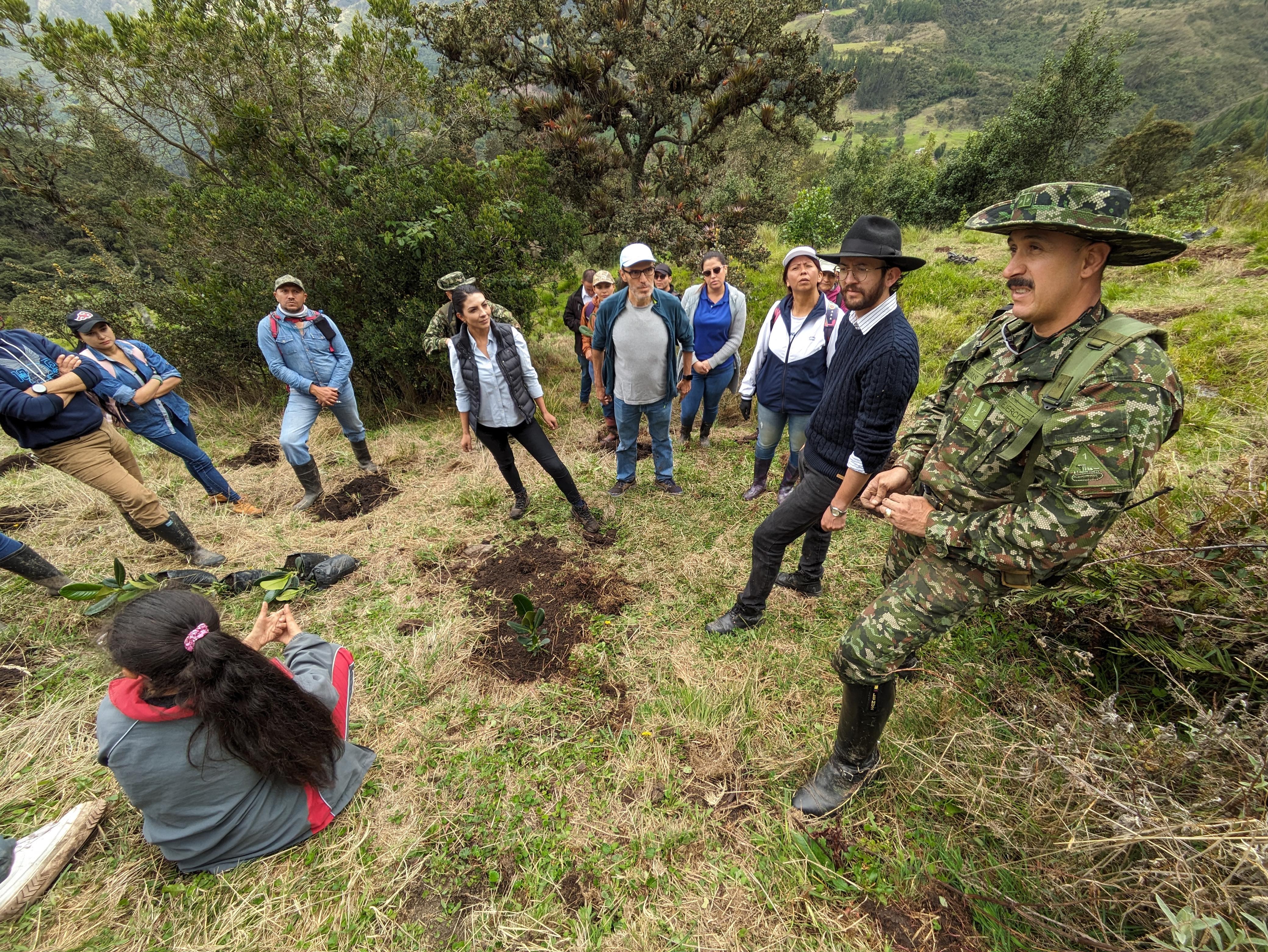 Siembra de 20mil árboles en Duitama, Boyacá.