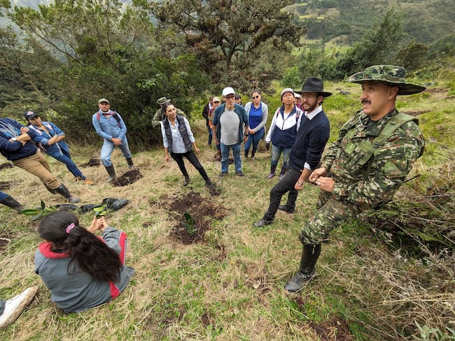 Siembra de 20mil árboles en Duitama, Boyacá.