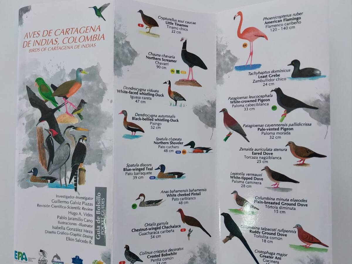 Cartagena se vincula a la Estrategia Nacional para la Conservación de las Aves (ENCA 2030)