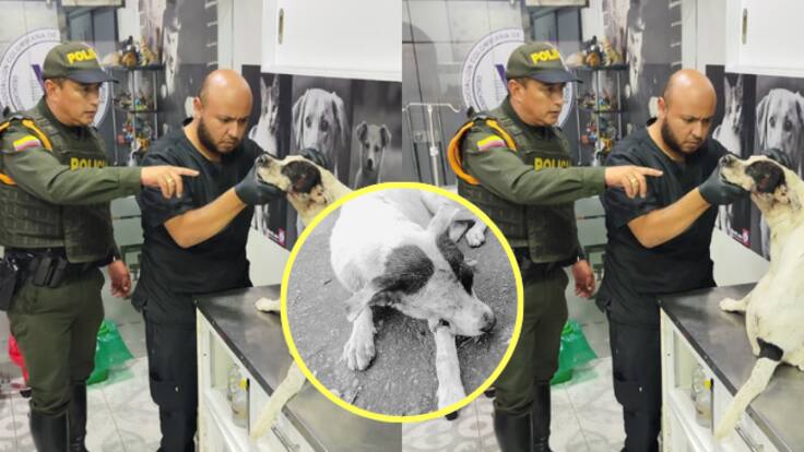 Leonardo Granados, Secretario de Ambiente y Transición Energética