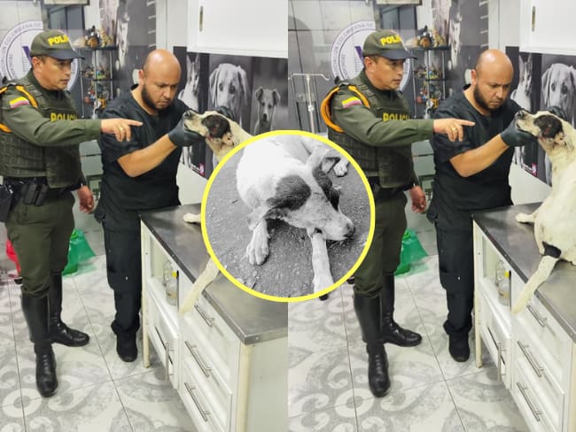 Leonardo Granados, Secretario de Ambiente y Transición Energética