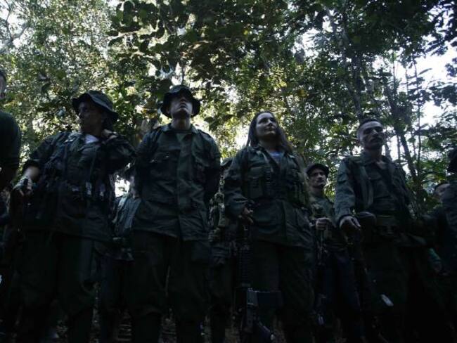 Las Farc y su presencia en Colombia