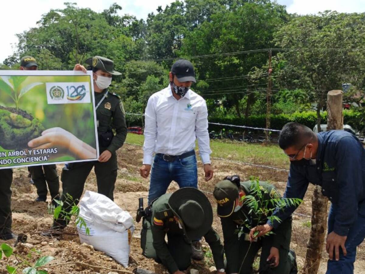 Policía ambiental realiza siembra de árboles en Ibagué