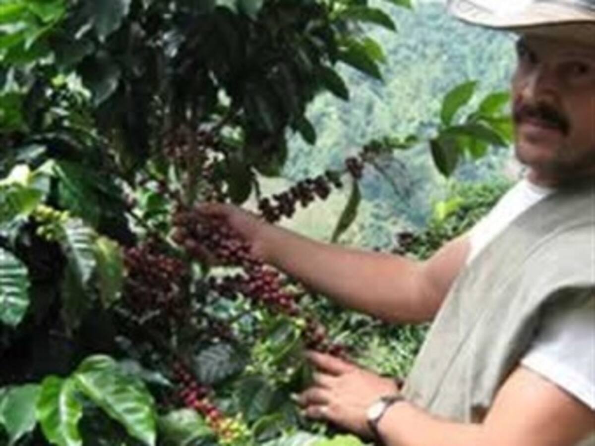 Cafeteros colombianos previeron un descenso en el consumo de café en los mercados europeos