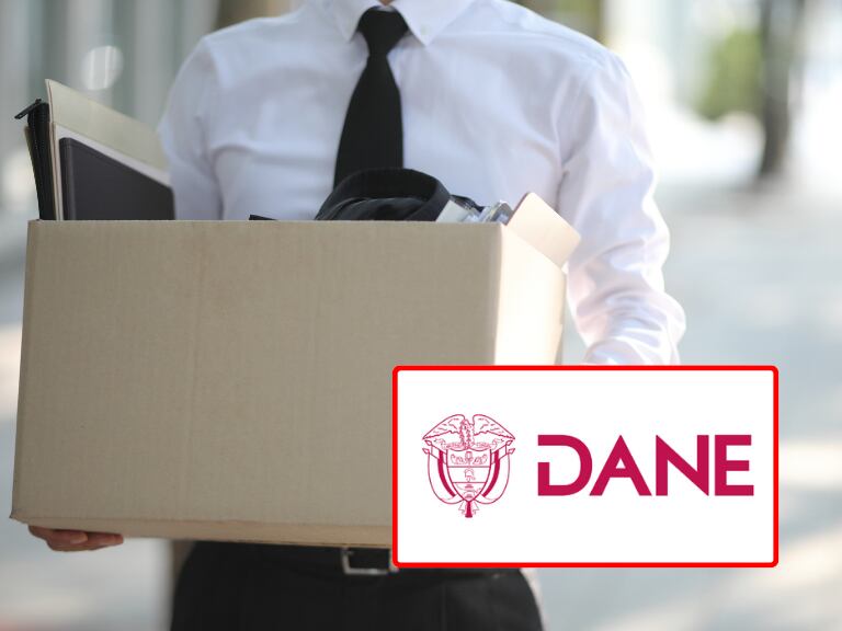 La mayor parte de los jóvenes ocupados se concentra en comercio y reparación de vehículos, agricultura y pesca según el Dane. 