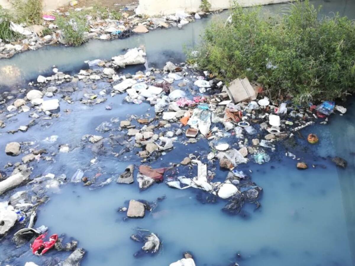 Pumarejo descarta fumigación por dengue