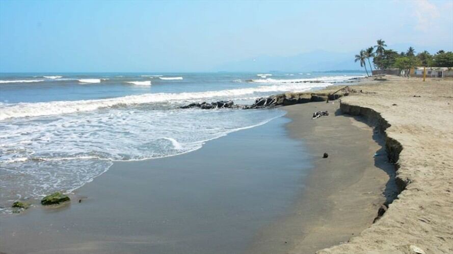 Imagen de referencia