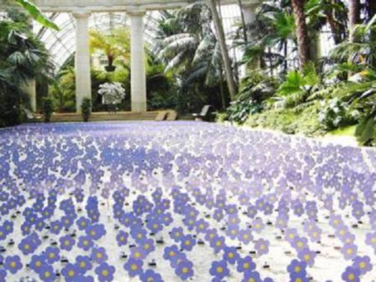 Alianza Francesa y Fundación EPM inauguran jardín de flores solares danzantes