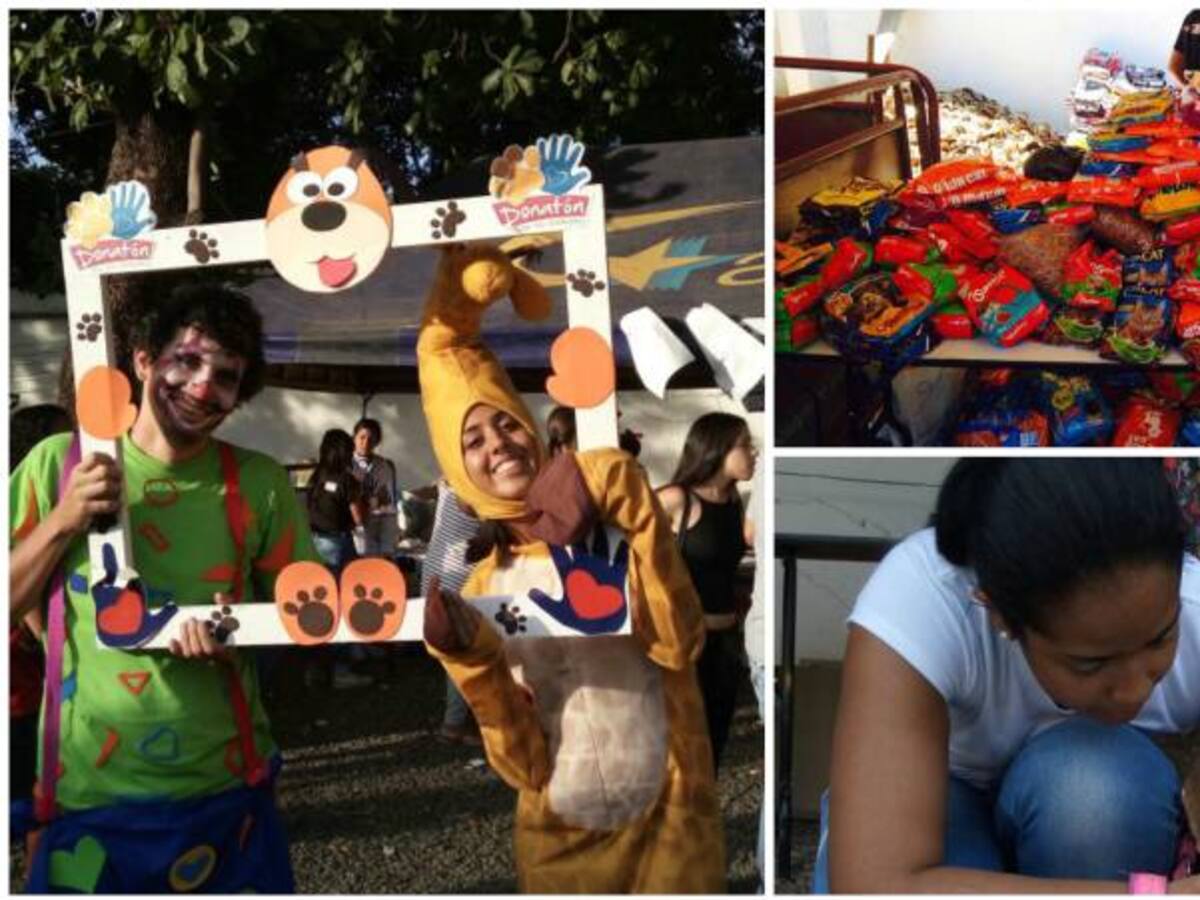 Caleños se unieron por los animales callejeros en una gran donatón