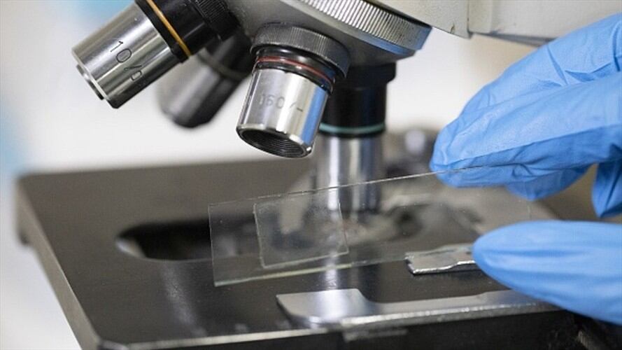 Discovery estrenará este fin de semana, Virus, la nueva serie que le permitirá a los televidentes conocer la verdad que se esconde detrás de tres grandes epidemias. Foto: Getty Images