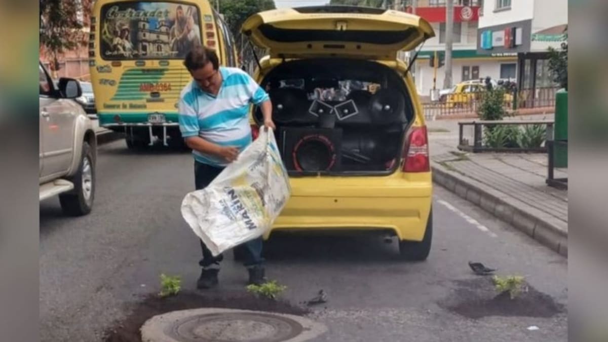 Le sembraron árboles a los huecos de Bucaramanga