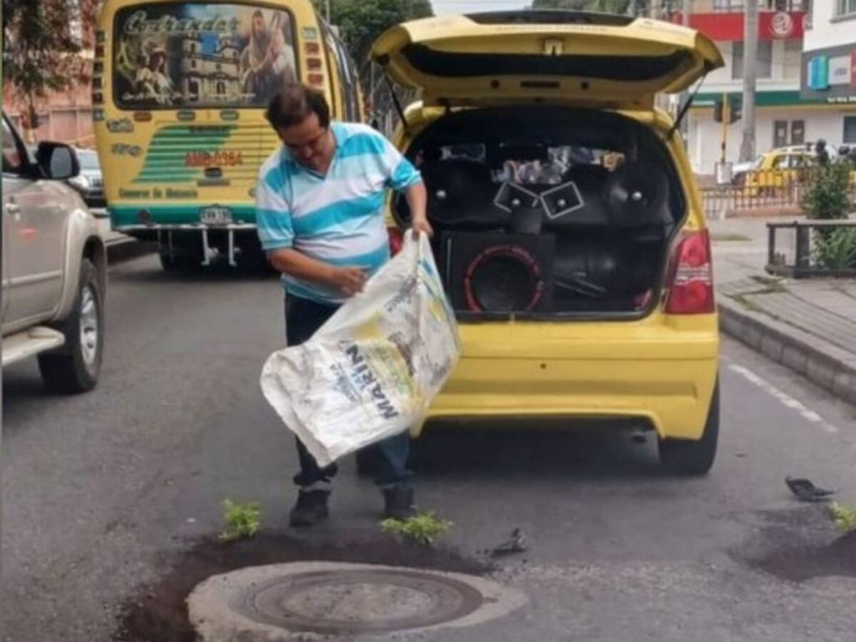 Le sembraron árboles a los huecos de Bucaramanga
