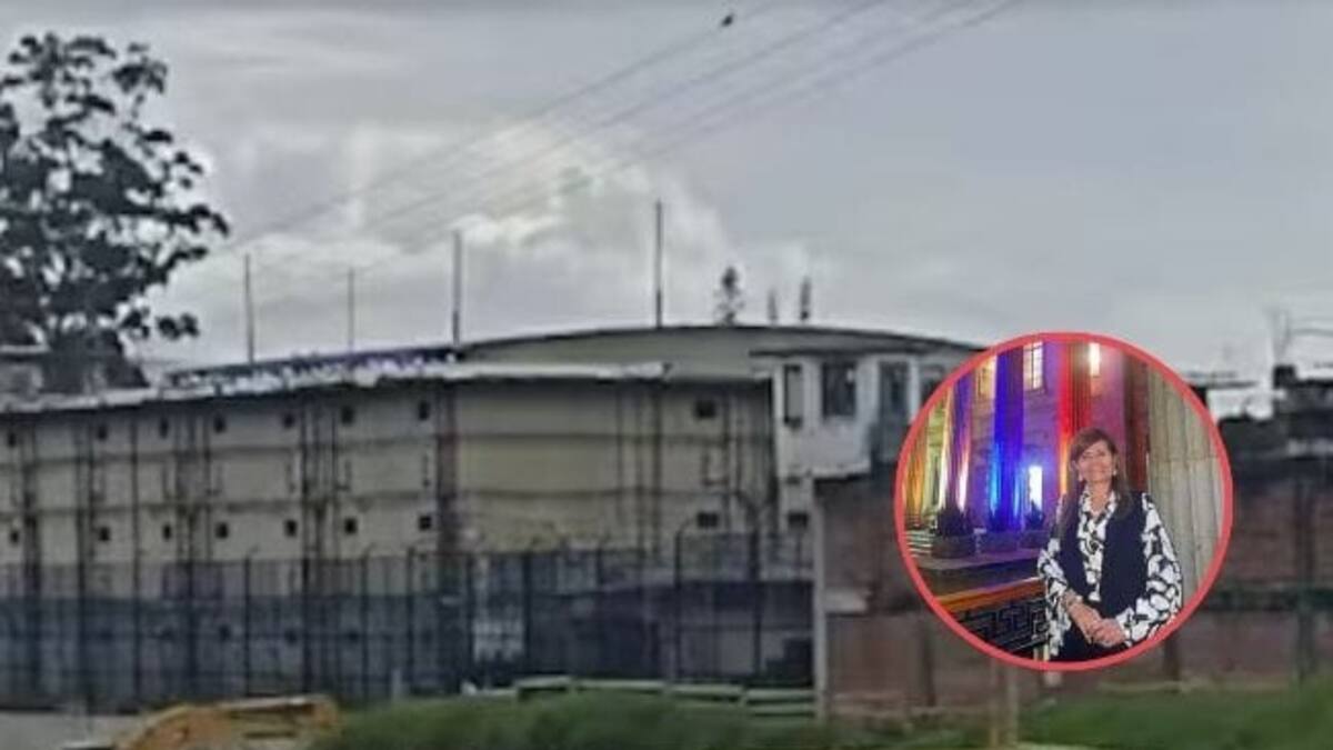 Representante a la Cámara, Piedad Correal