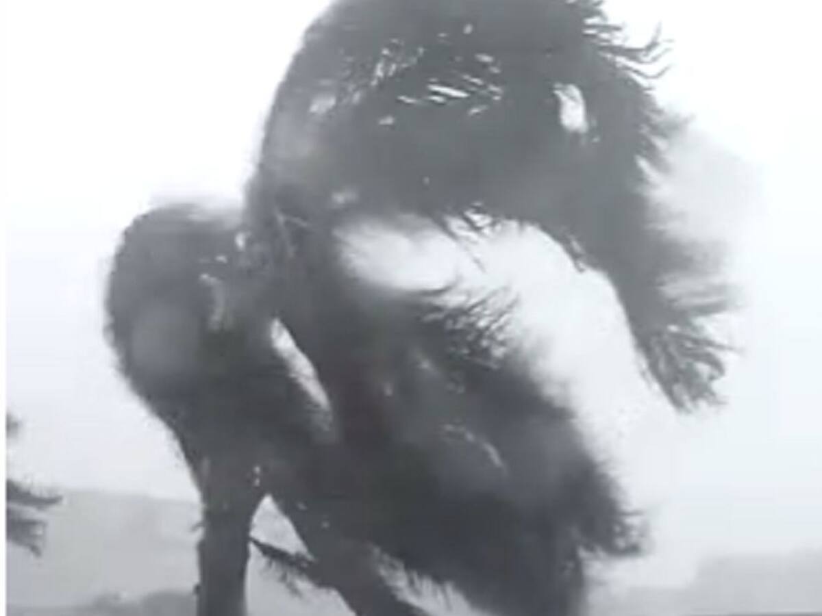 Árboles caídos y una casa colapsada deja lluvia con granizo en Barranquilla