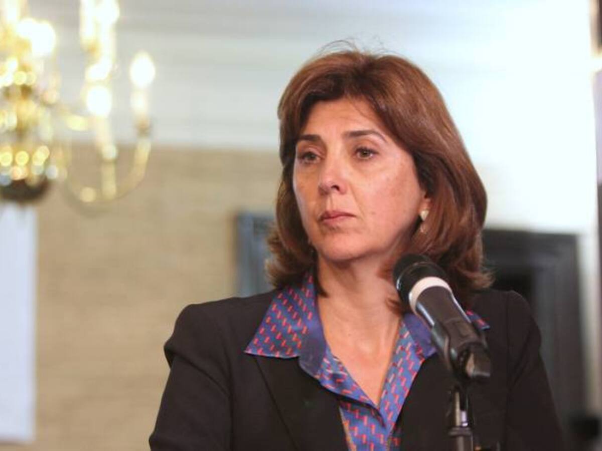 Fue la UE la que tomó la decisión de reducir su misión electoral: Canciller