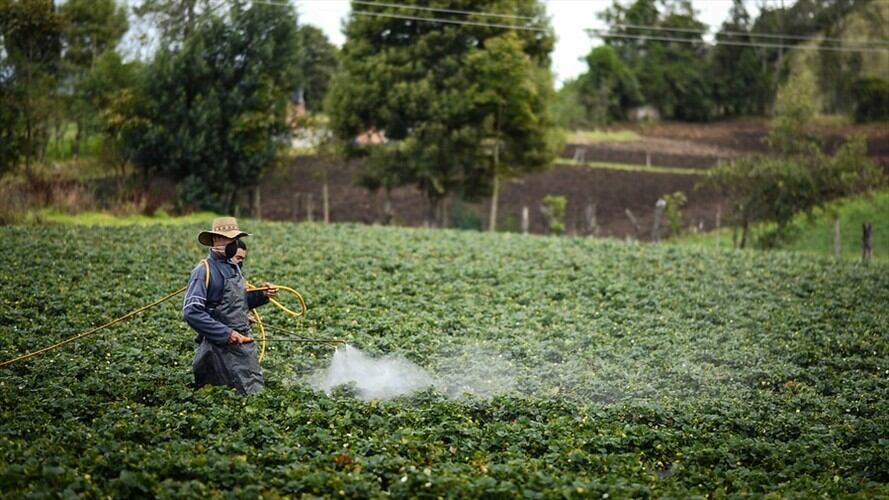 Imagen de referencia. Foto: Colprensa