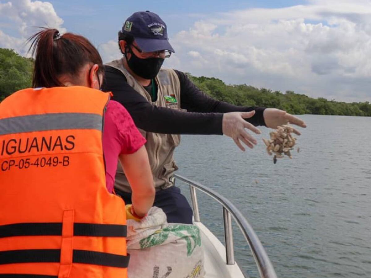 198 kilogramos de moluscos fueron devueltos al mar en Cartagena