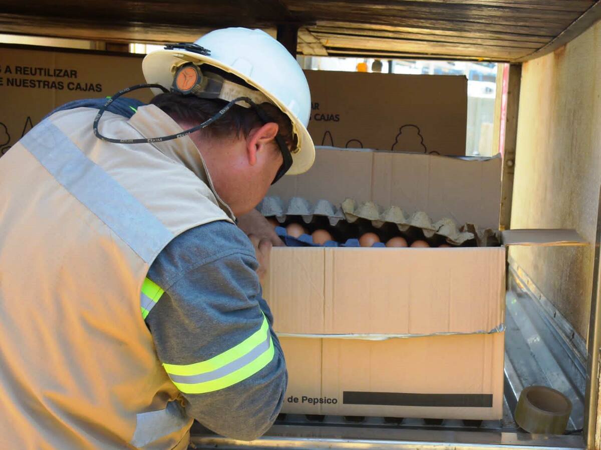 Primer envío de 48.600 huevos por mar desde Cartagena hasta San Andrés y Providencia