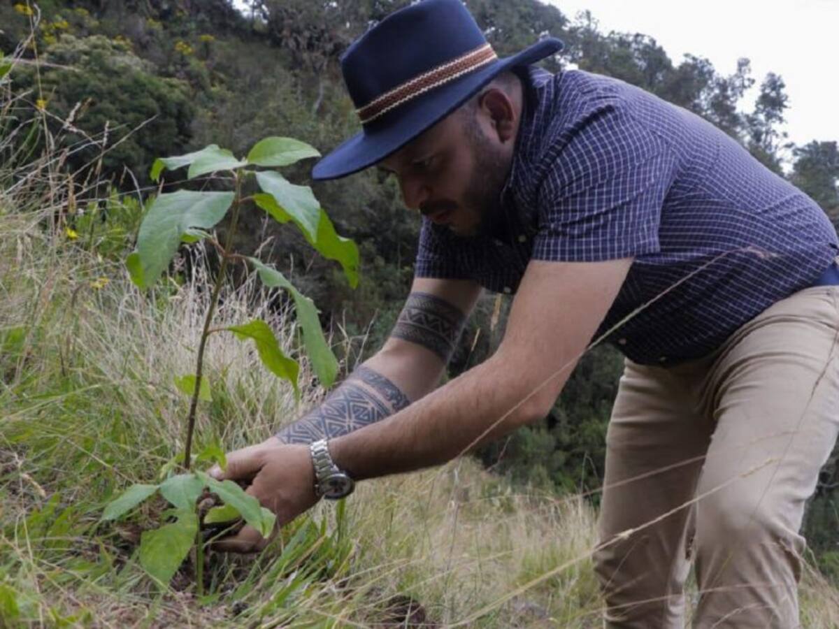 Boyacá reverdece para hacerle frente a la crisis climática