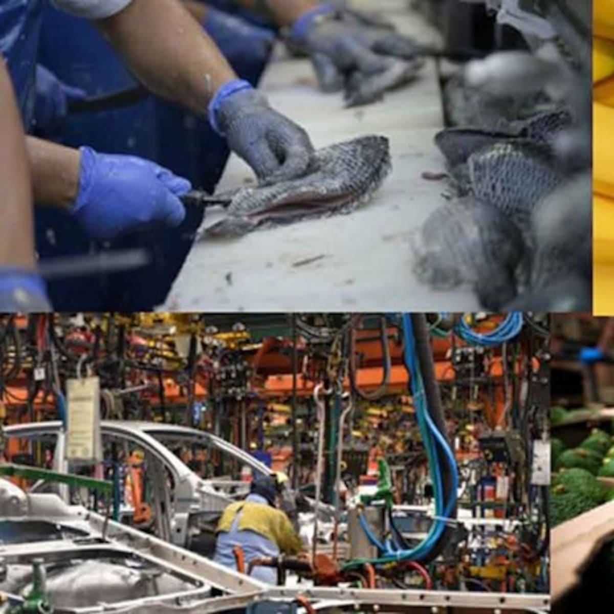 Huila entre las 5 regiones que aumentaron exportaciones no mineras del país