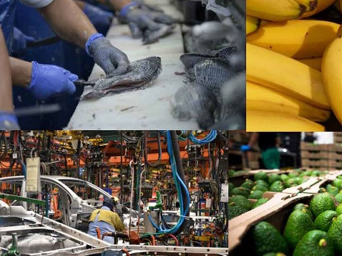 Huila entre las 5 regiones que aumentaron exportaciones no mineras del país