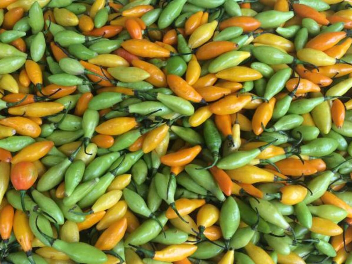 Escasez de alimentos y precios altos por cierre de frontera en Guainía