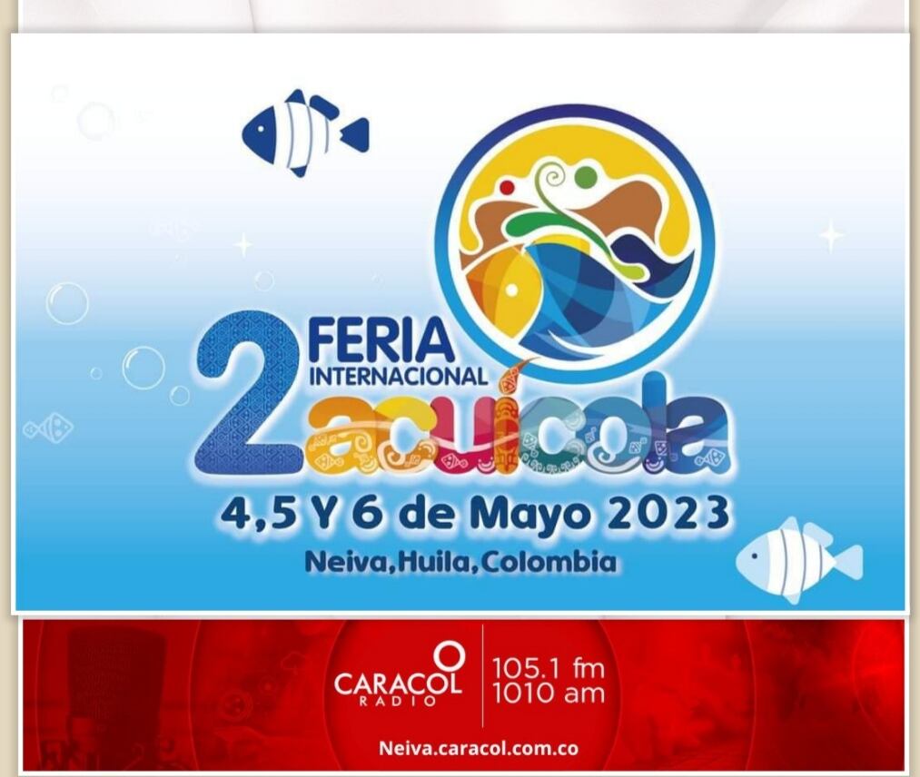 Departamento alcanzó en 2022 un volumen de producción de 78.527 toneladas de pescado, que representan el 39% de la producción nacional.
