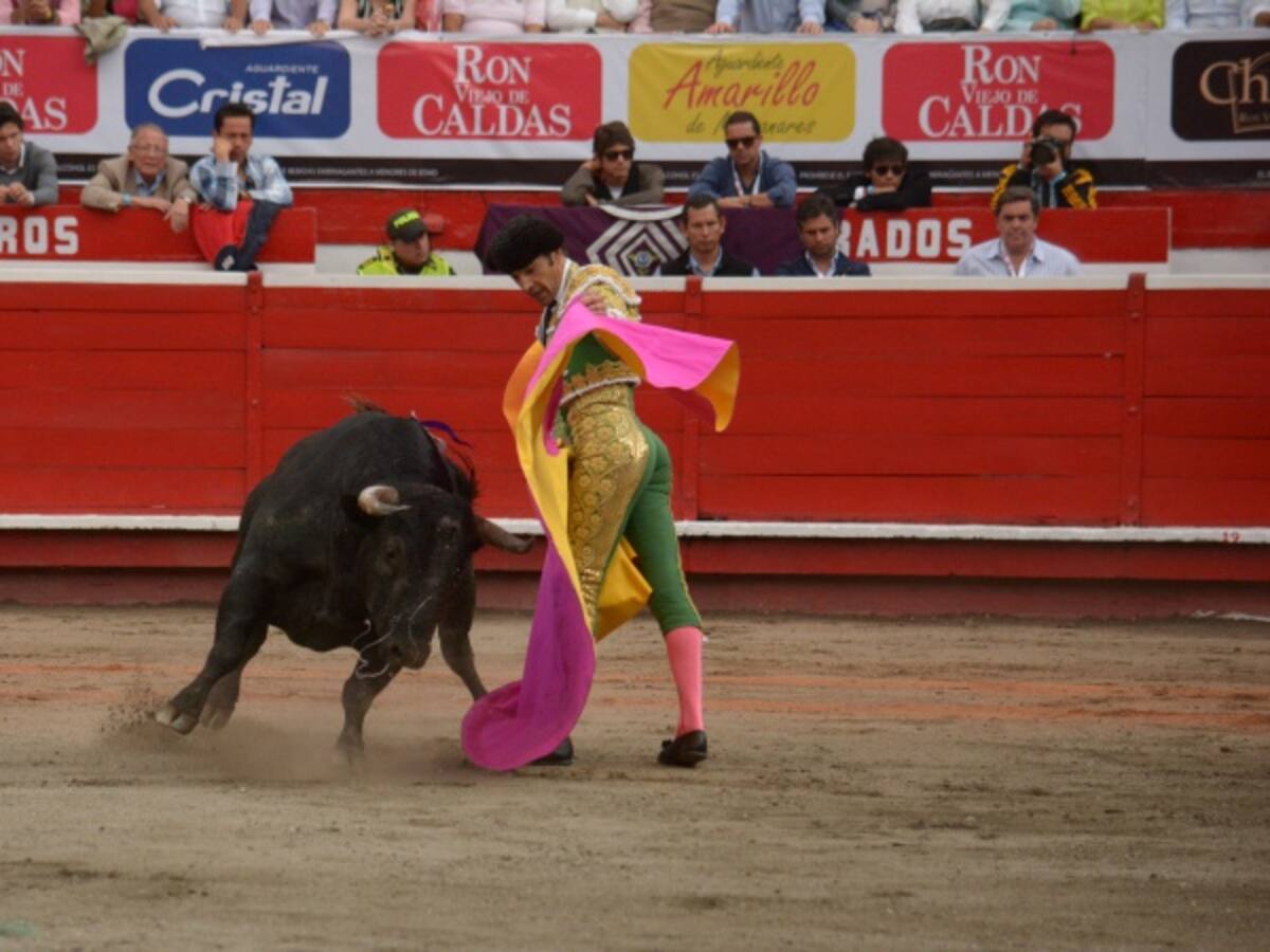 Papeleta para que los bogotanos opinen sobre las corridas de toros