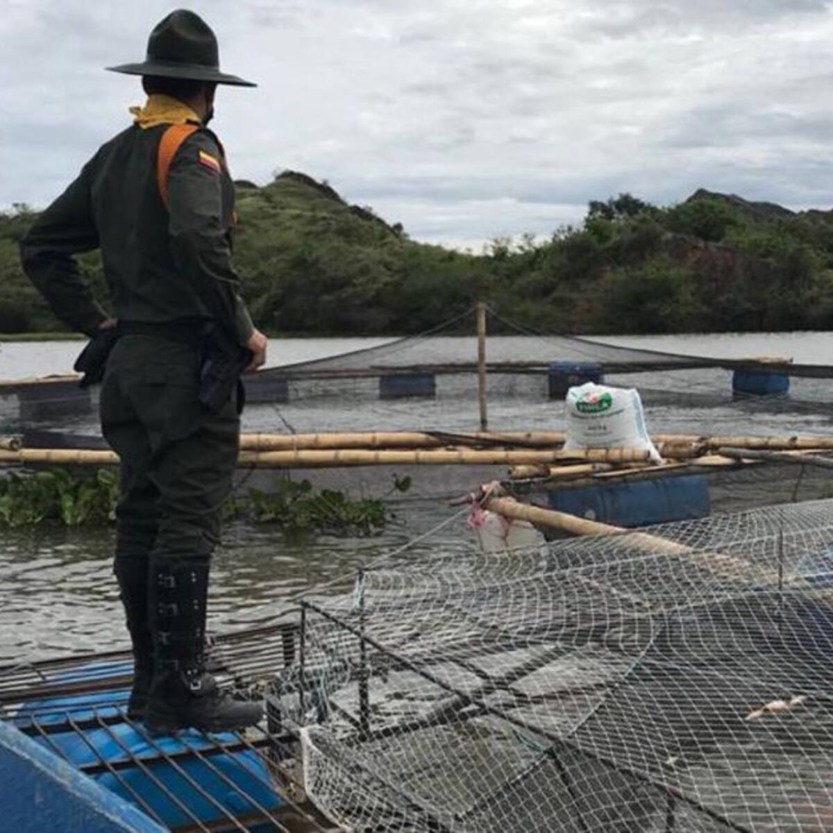 CAM suspende actividad a siete piscícolas ilegales en el Huila