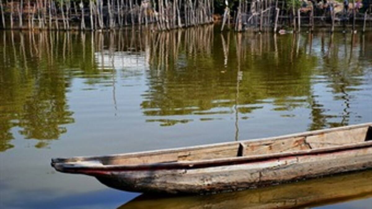 Mortandad de peces, misterio no resuelto en Ciénaga Grande