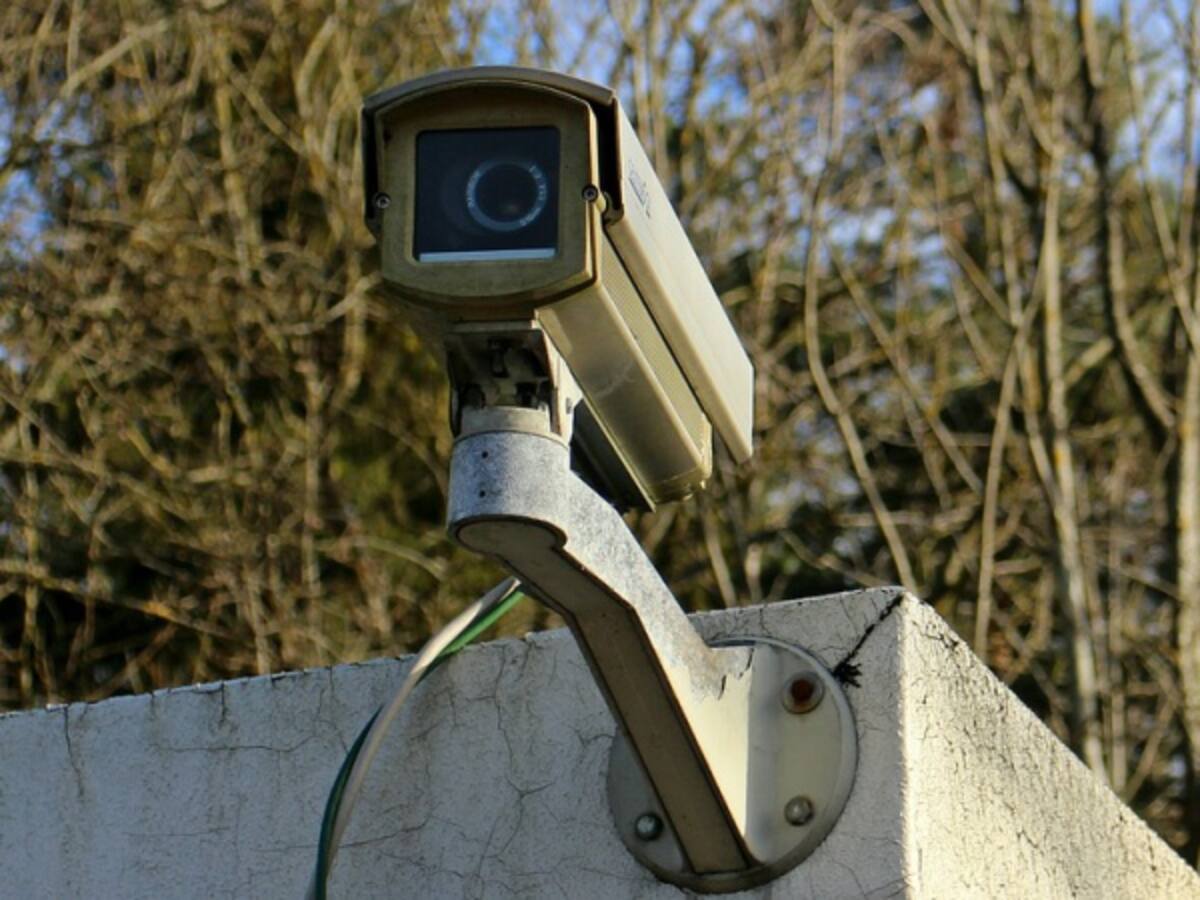 Alcaldía de Fúquene pide a la CAR incentivar investigaciones de las extrañas muertes de animales