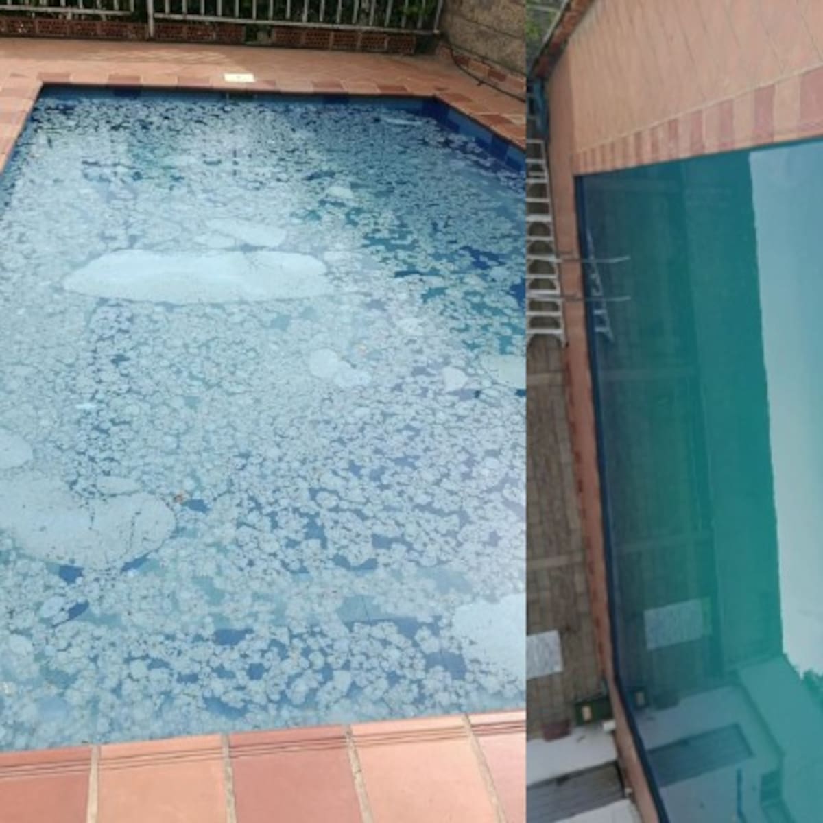 Comunidad de Arboreto, en Villa del Rosario, denuncia contaminación del agua