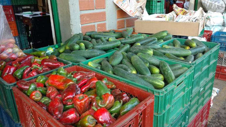 Hortalizas mantienen precios estables en medio de la baja cosecha. 