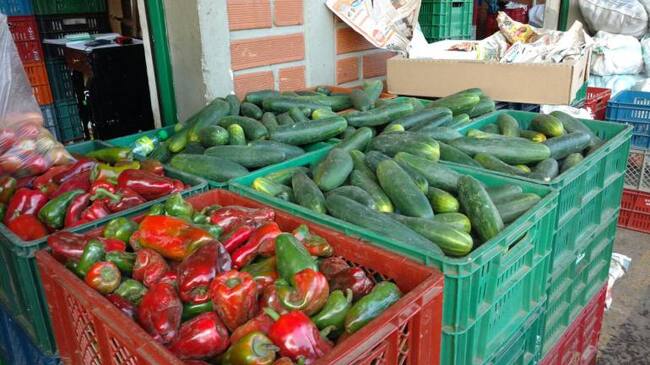 Hortalizas mantienen precios estables en medio de la baja cosecha.