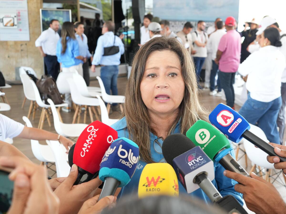 MinTransporte solicitó informe a la interventoría ante fallas en nueva plataforma del RUNT