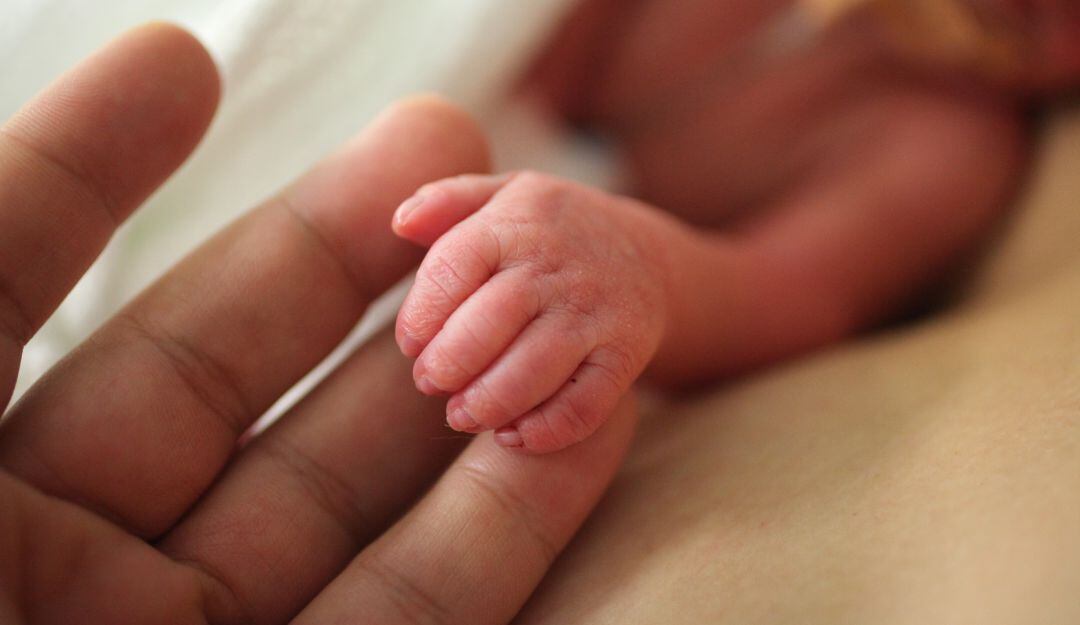 Imagen de referencia