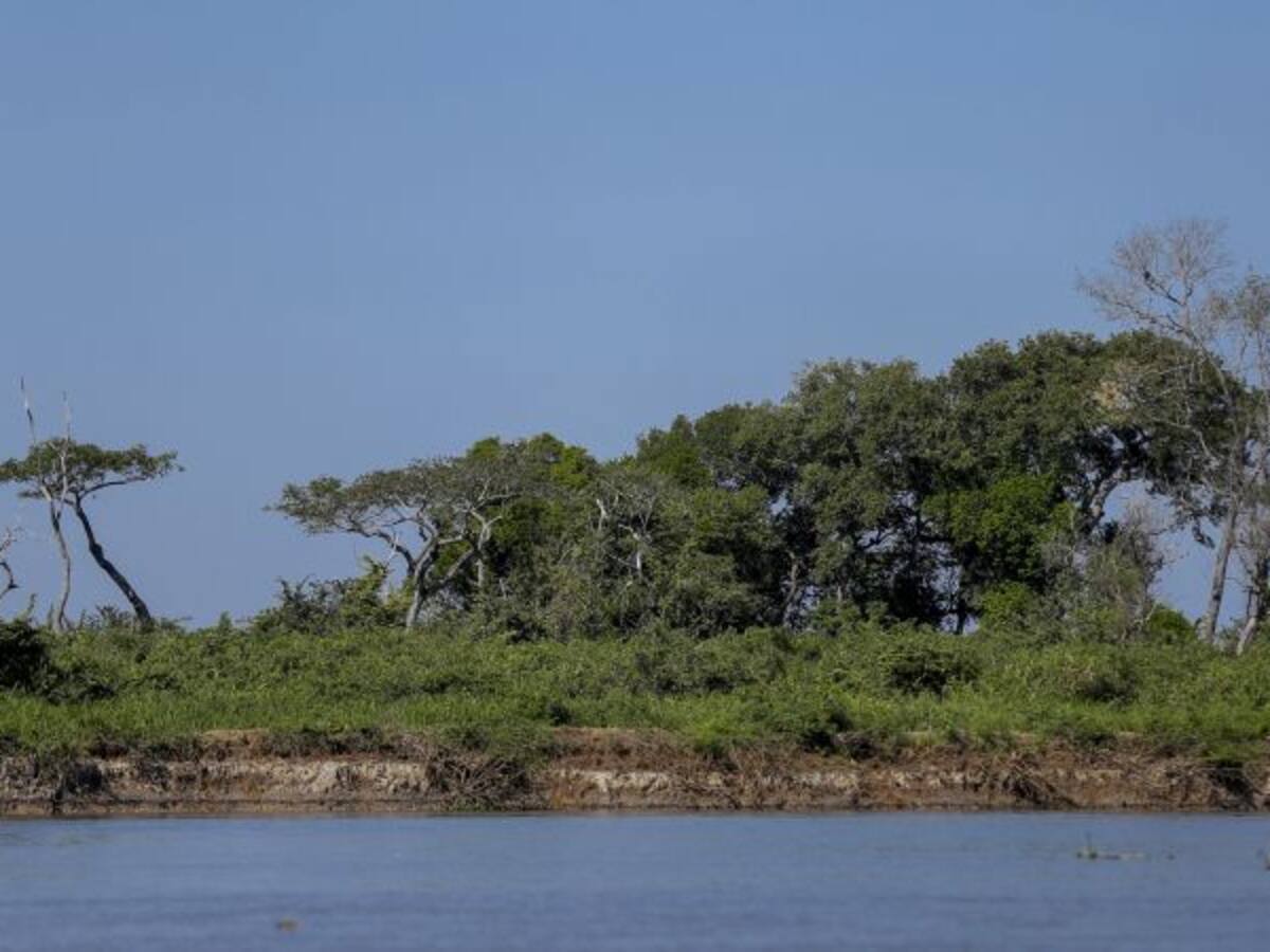 Colombia, UE y Hungría unen esfuerzos para conservación y paz de Amazonía