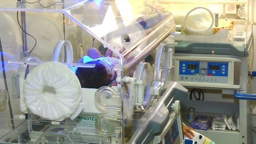 Los padres de los 23 niños venezolanos en estado de desnutrición tienen seis meses para acudir al instituto por los menores. Foto: Colprensa