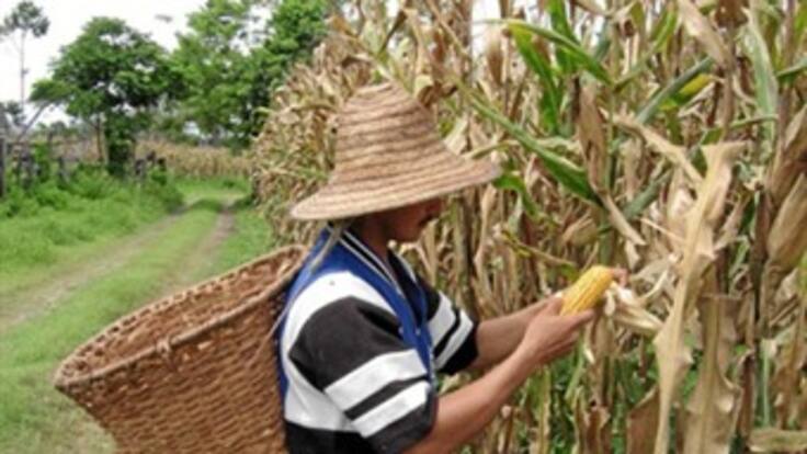 Santos invita a sector agrario a analizar cumplimiento de acuerdos