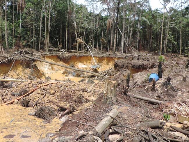 Procuraduría pide medidas urgentes para evitar la deforestación