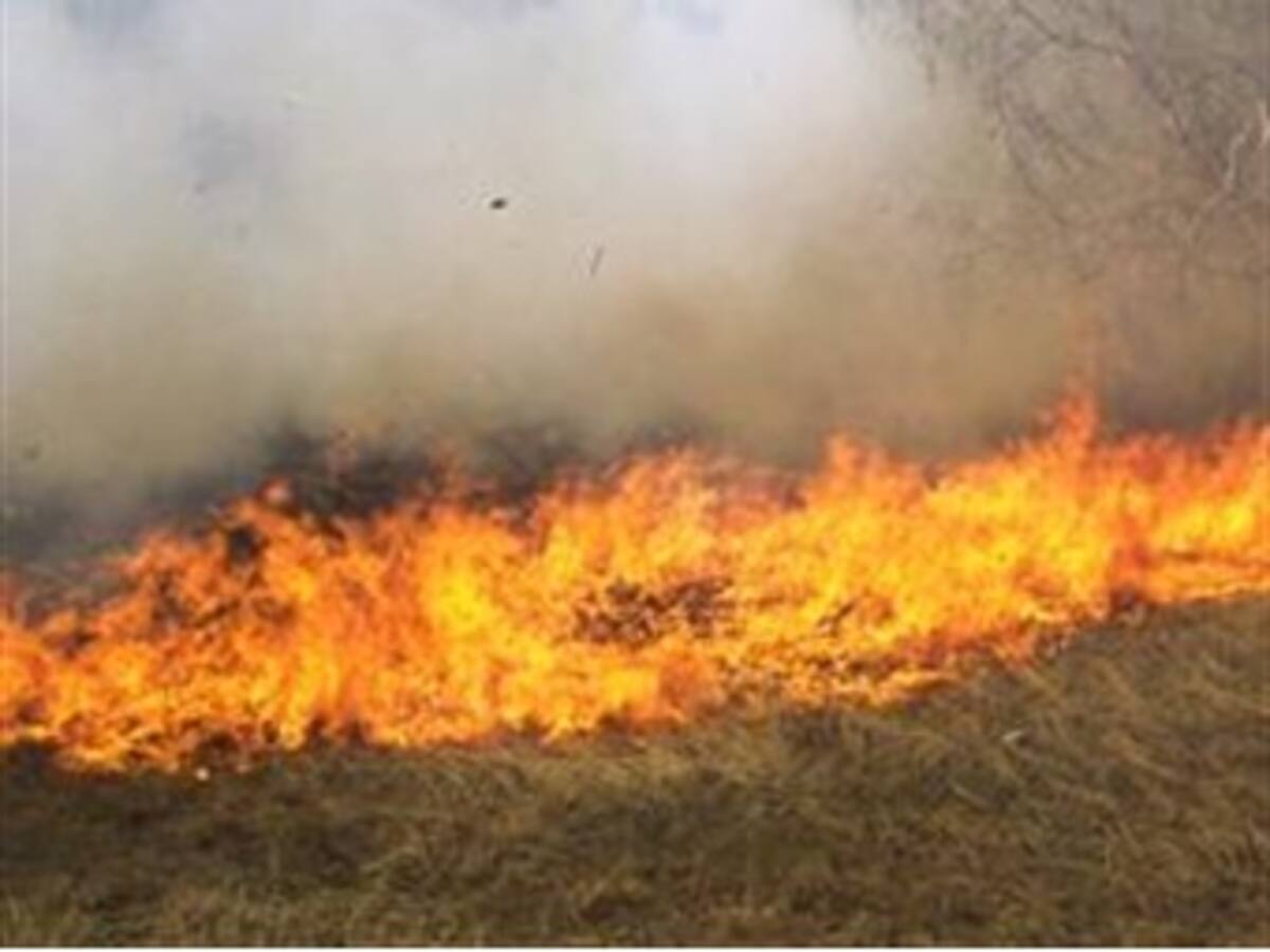 Incendios forestales nuevamente afectan a Cali