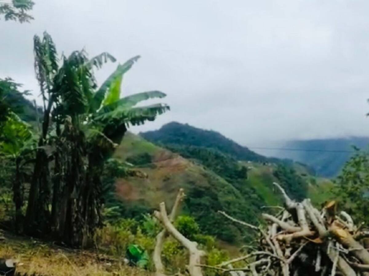 Niños quedaron en medio de combates en Argelia, Cauca