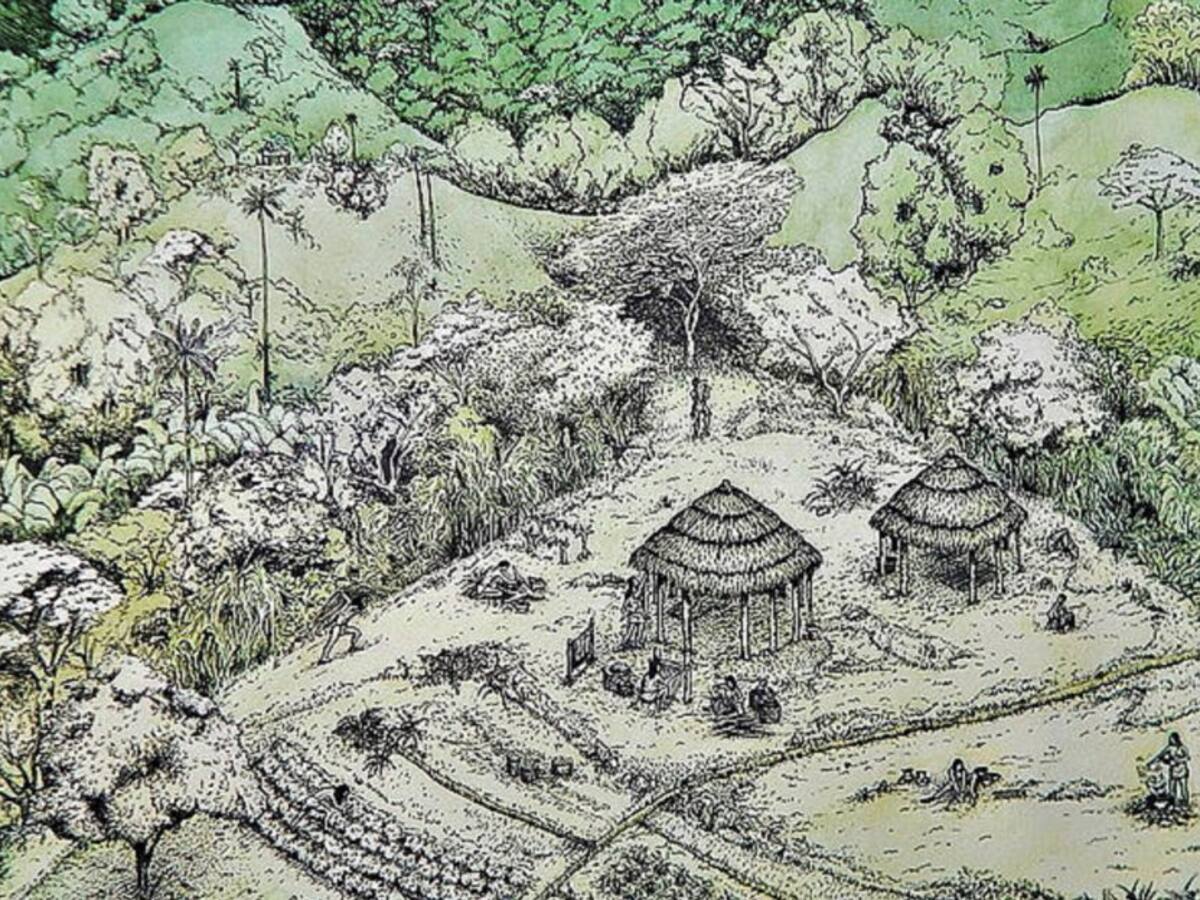 Investigadores hicieron un importante hallazgo arqueológico en Sabaneta