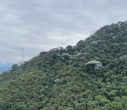 Fotografía suministrada: Carder